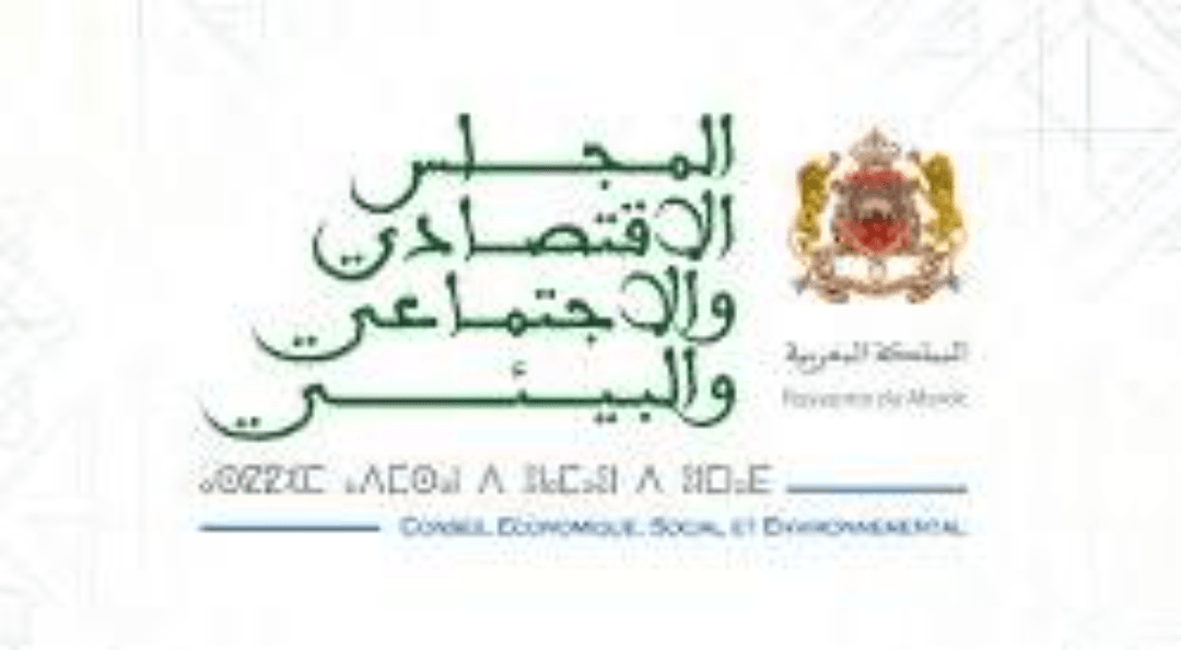 CESE Maroc recommandations application