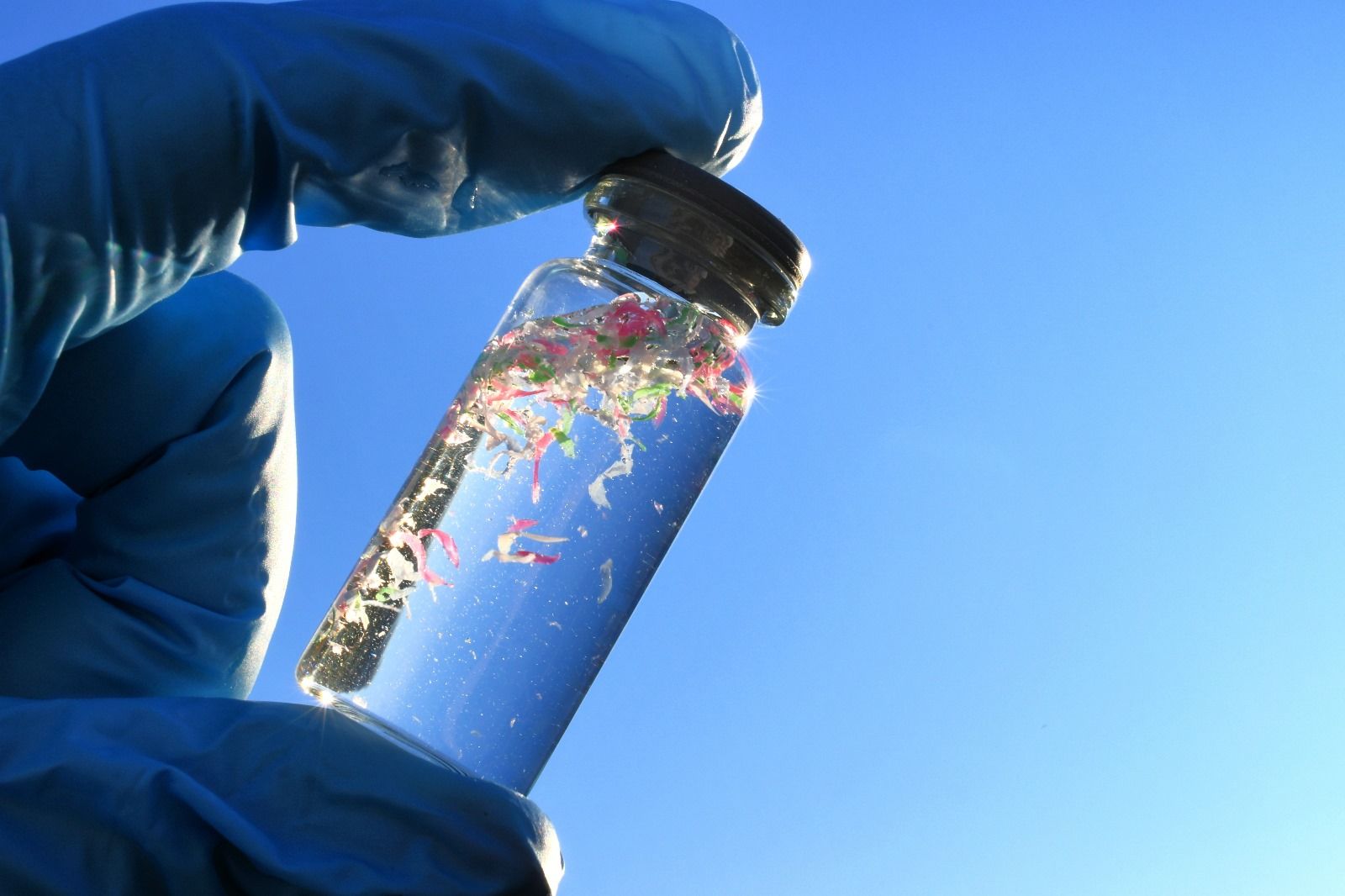 WhatsApp Image eau polluée.jpg